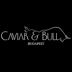 logo dark